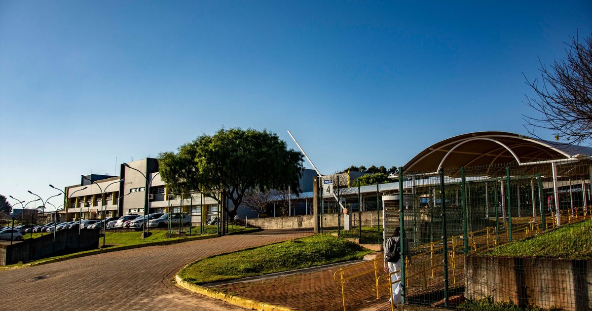 Apucarana programa mais de 60 eventos culturais de junho a agosto