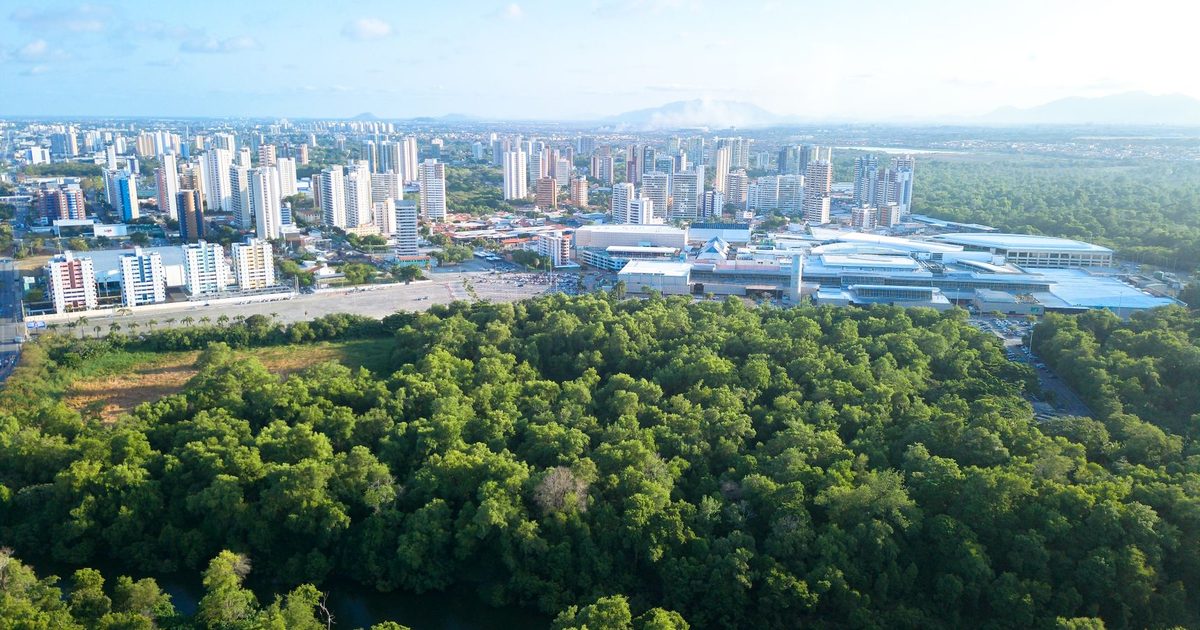 Curso gratuito de educação ambiental do Paraná alcança 12 estados do Brasil