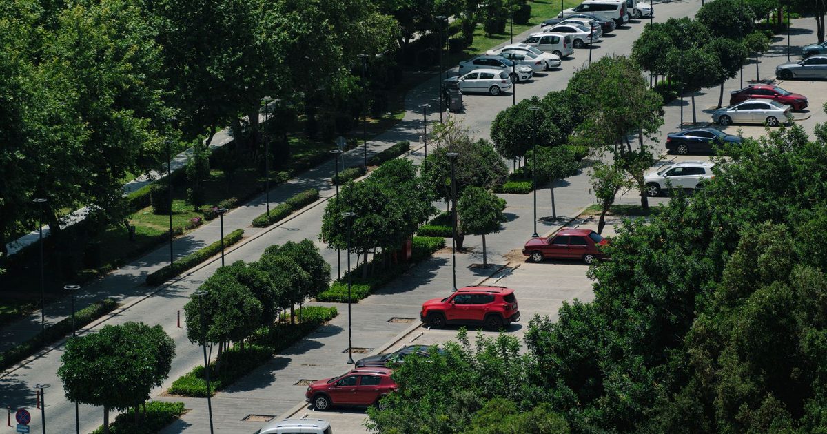 Pesquisador paranaense lidera projeto internacional sobre áreas verdes em 12 cidades da Polônia