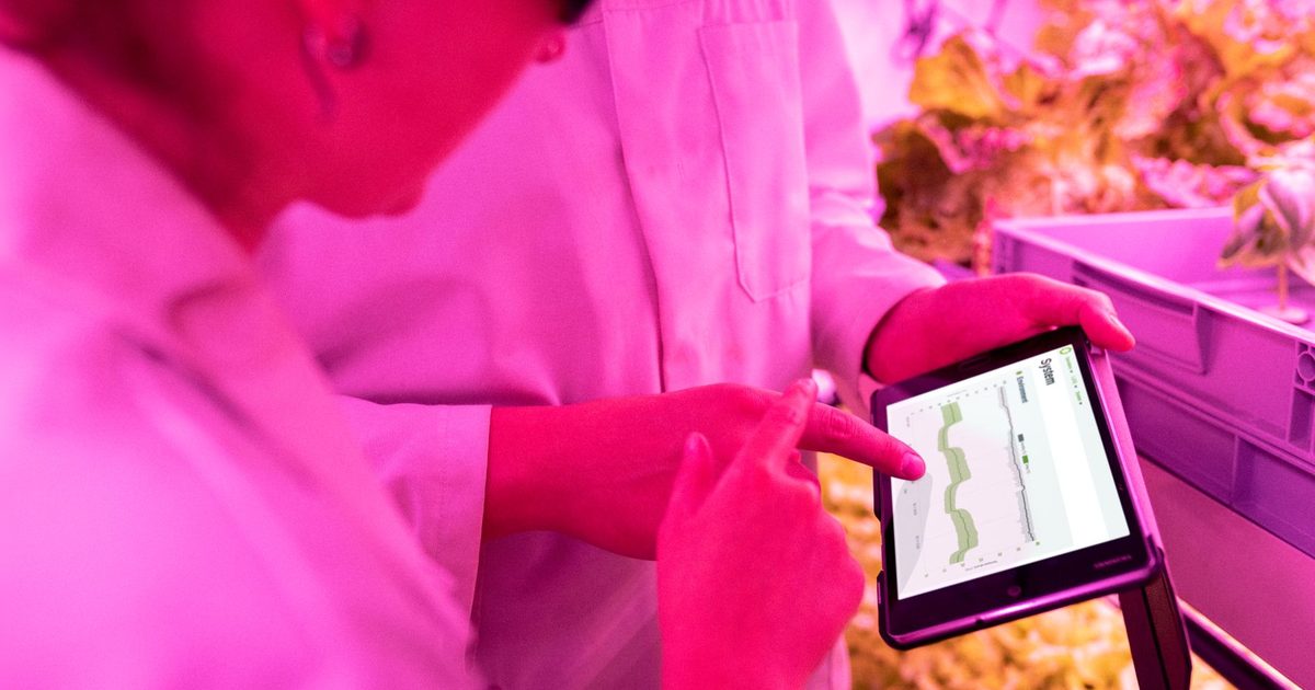 Startup paranaense desenvolve sensores para monitorar qualidade da água diretamente em campo